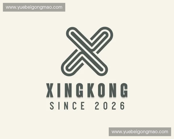 关于xingkong官方入口